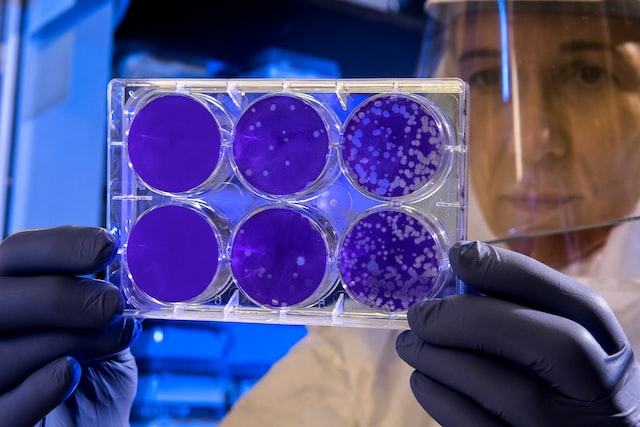 Hoe een bacterievrij jaar een generatie van ‘coronakinderen’ heeft veranderd