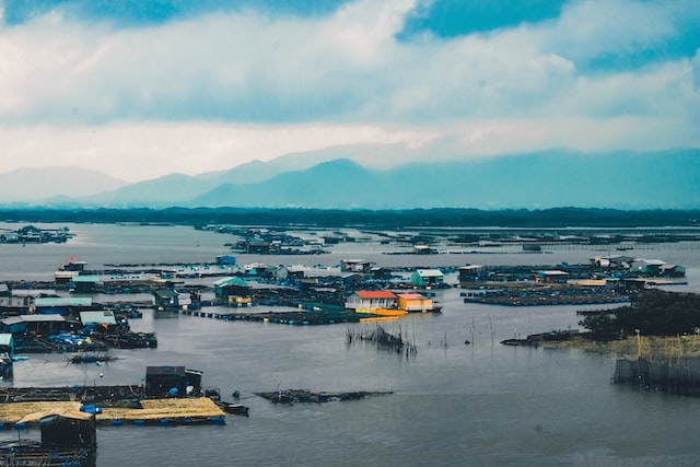 nguyen kiet OGp18qMyq k unsplash