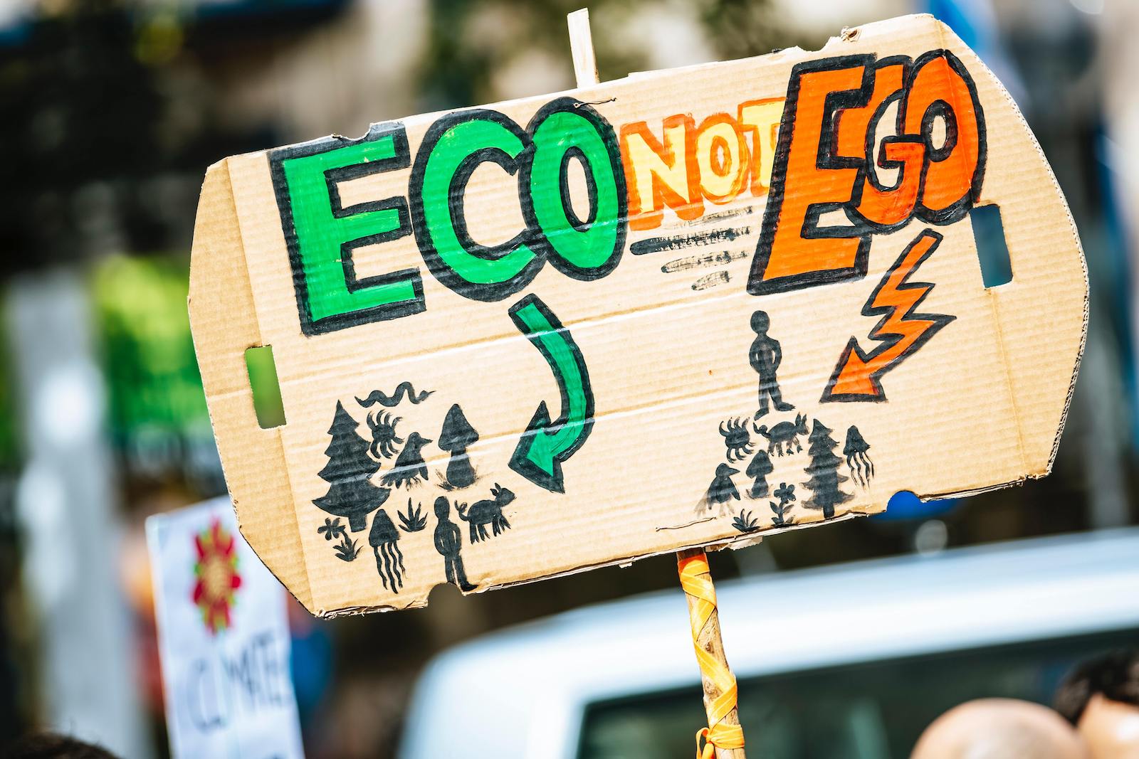 Piketty: ‘Om de klimaatcrisis te stoppen moeten de rijksten drastisch inleveren’