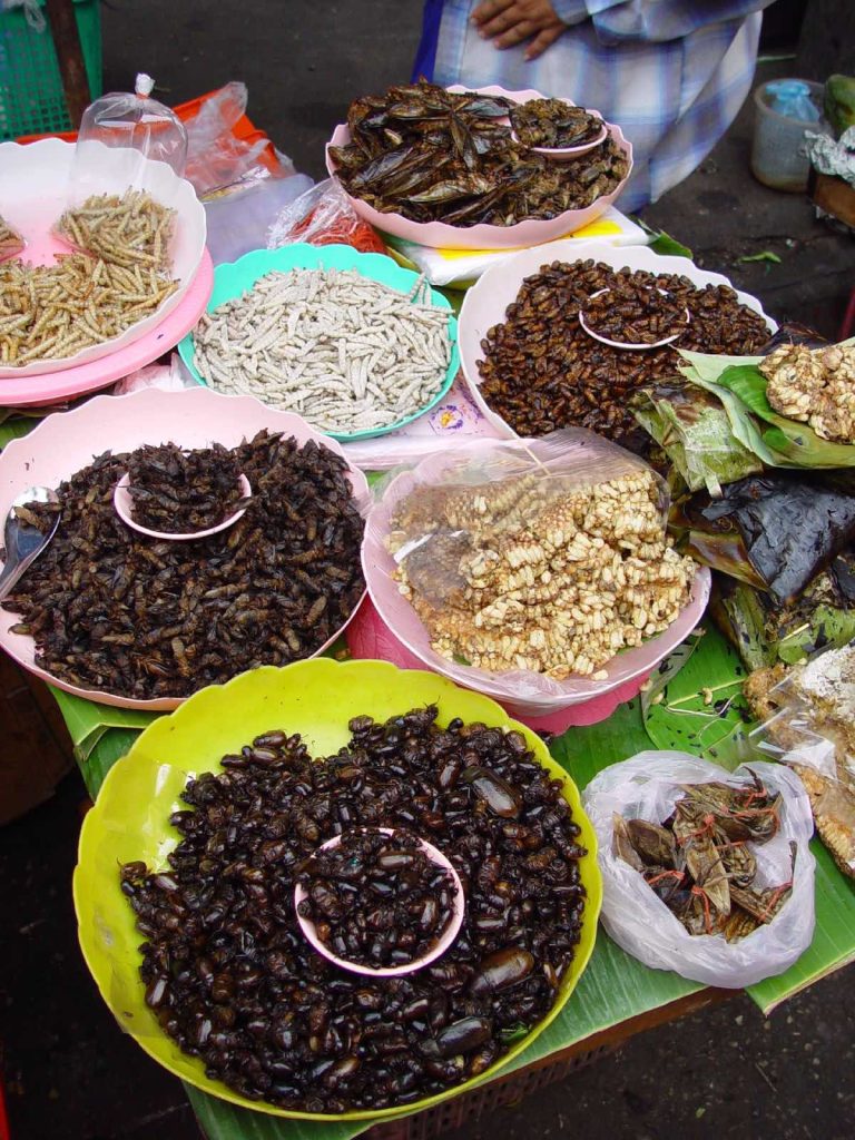 Eetbare insecten, een levensvatbaar vleesalternatief?