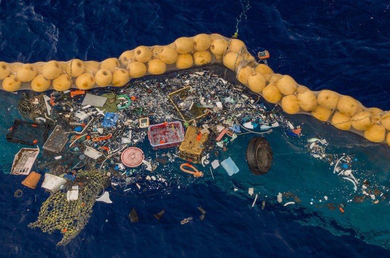 Een nieuw ecosysteem ontstaat op weggegooid plastic