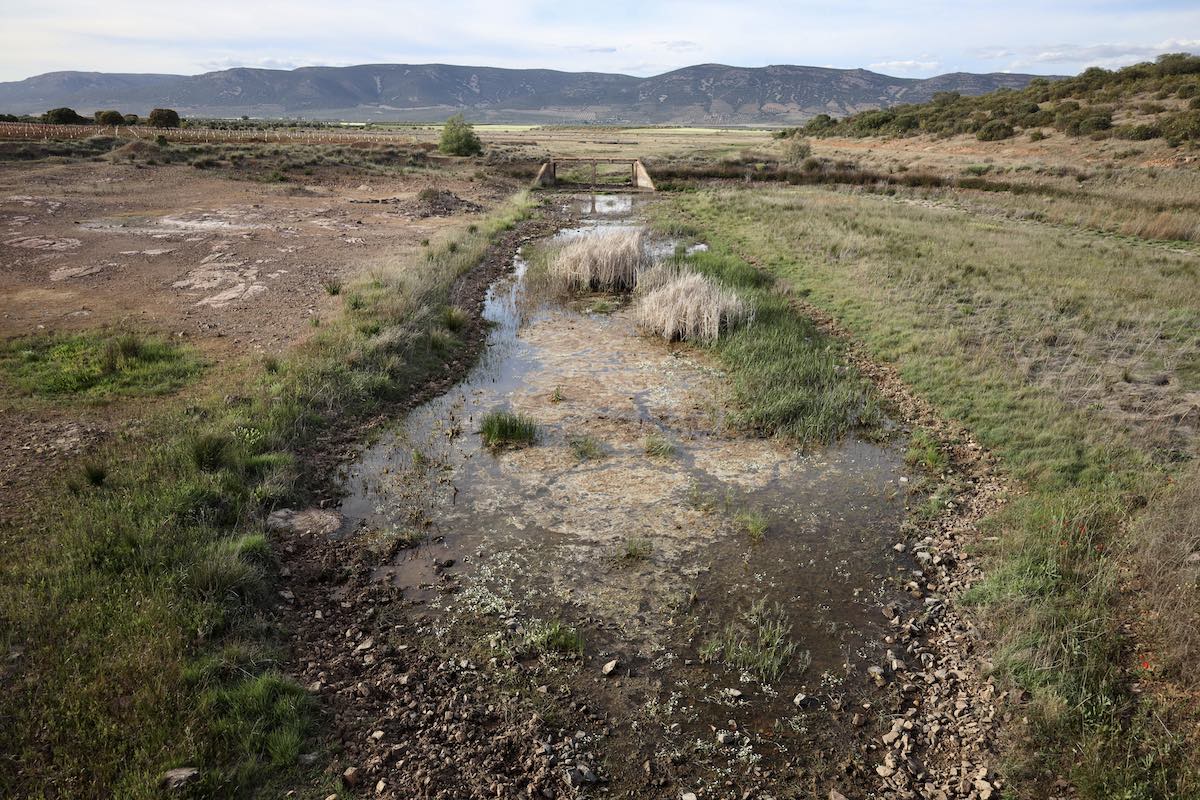 Waarom Spanje zucht onder aanhoudende droogte