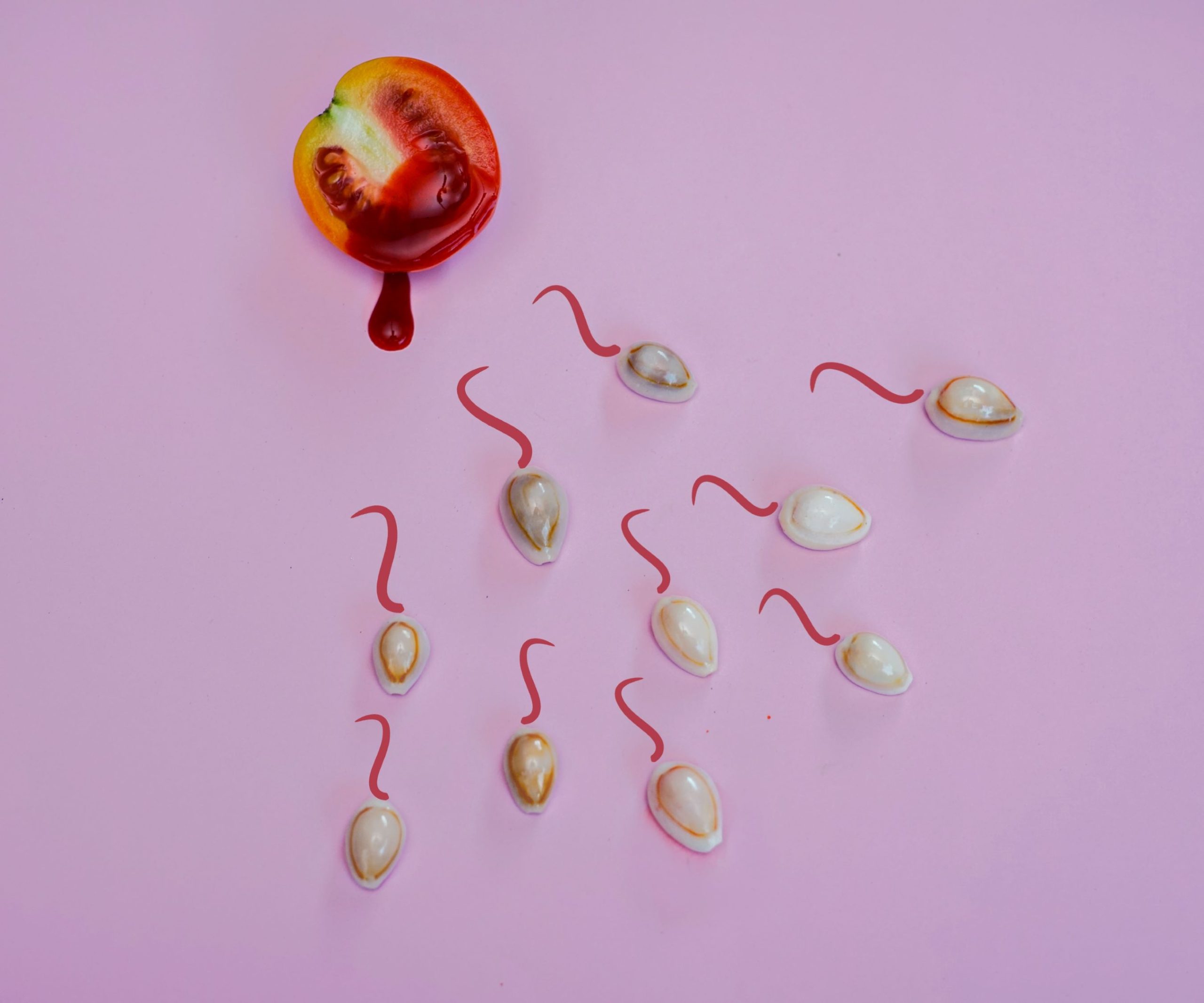 Wat als we de menopauze afschaffen?