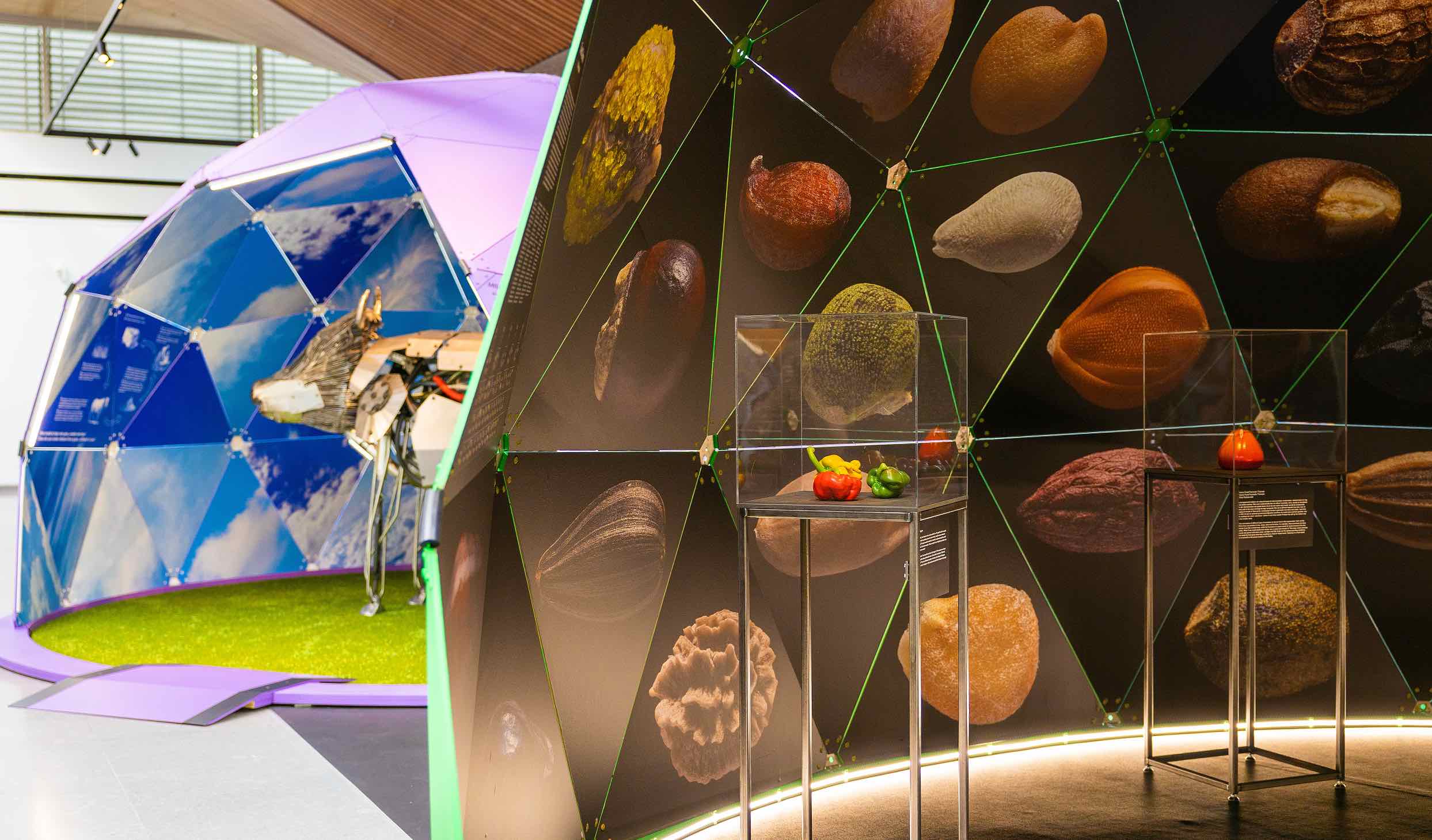 Wereldbeeld: Marsaardappelen als voedsel van de toekomst
