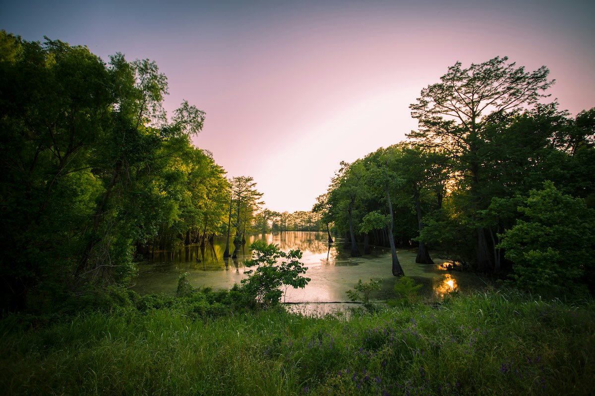 jp valery G42kwj5T0No unsplash