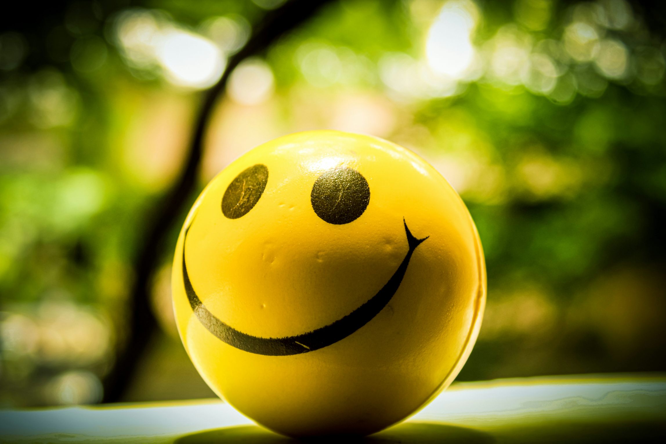 chaitanya pillala zDDdoYqQ64U unsplash 3