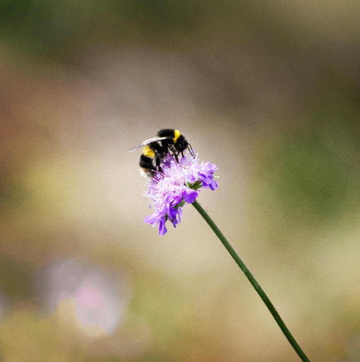emma morgan 1kcKmdBKfWk unsplash 2