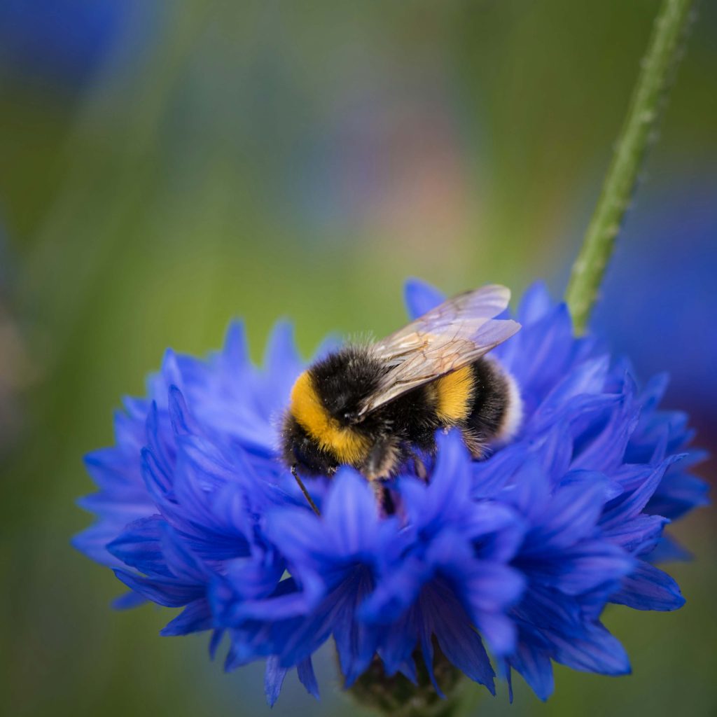 imvenkat m SgzMZ7JVH98 unsplash