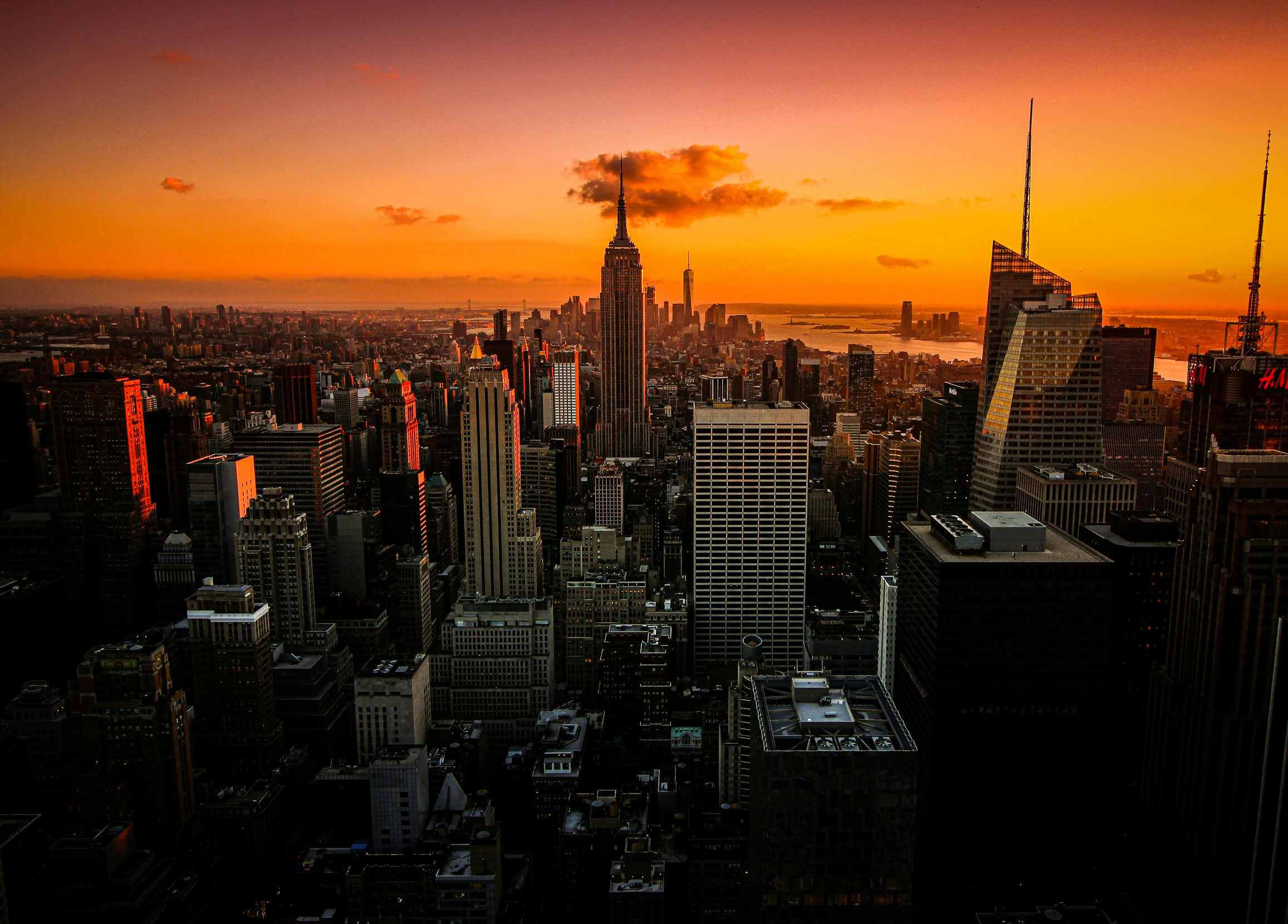 florian wehde J6mySj3wntg unsplash 1