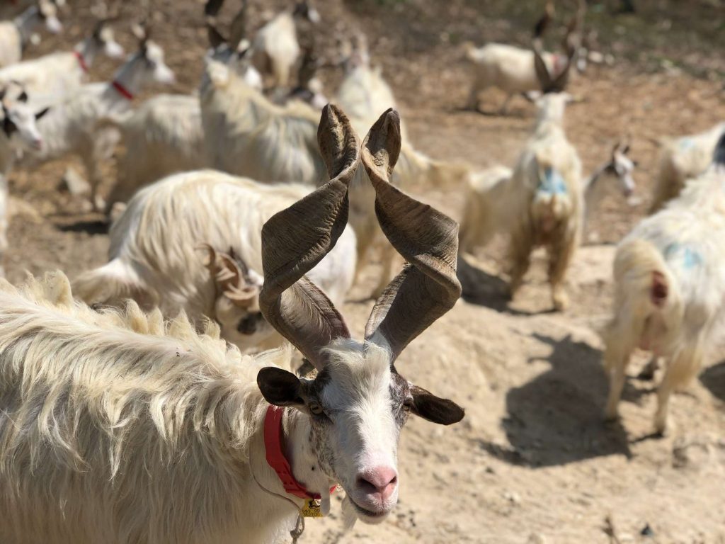 paul la rosa 8zeHnDjjyNs unsplash 1
