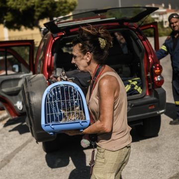 Griekenland: duizenden geëvacueerd nu bosbranden Athene naderen