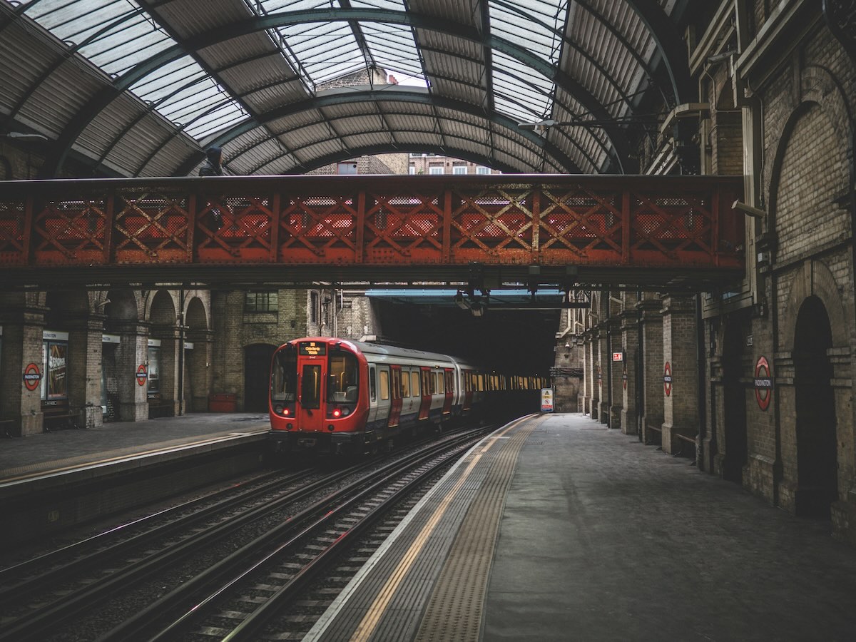 Onderzoek: vogelgezang verlicht stress in ov jonas tebbe sUl9VnI77AA unsplash