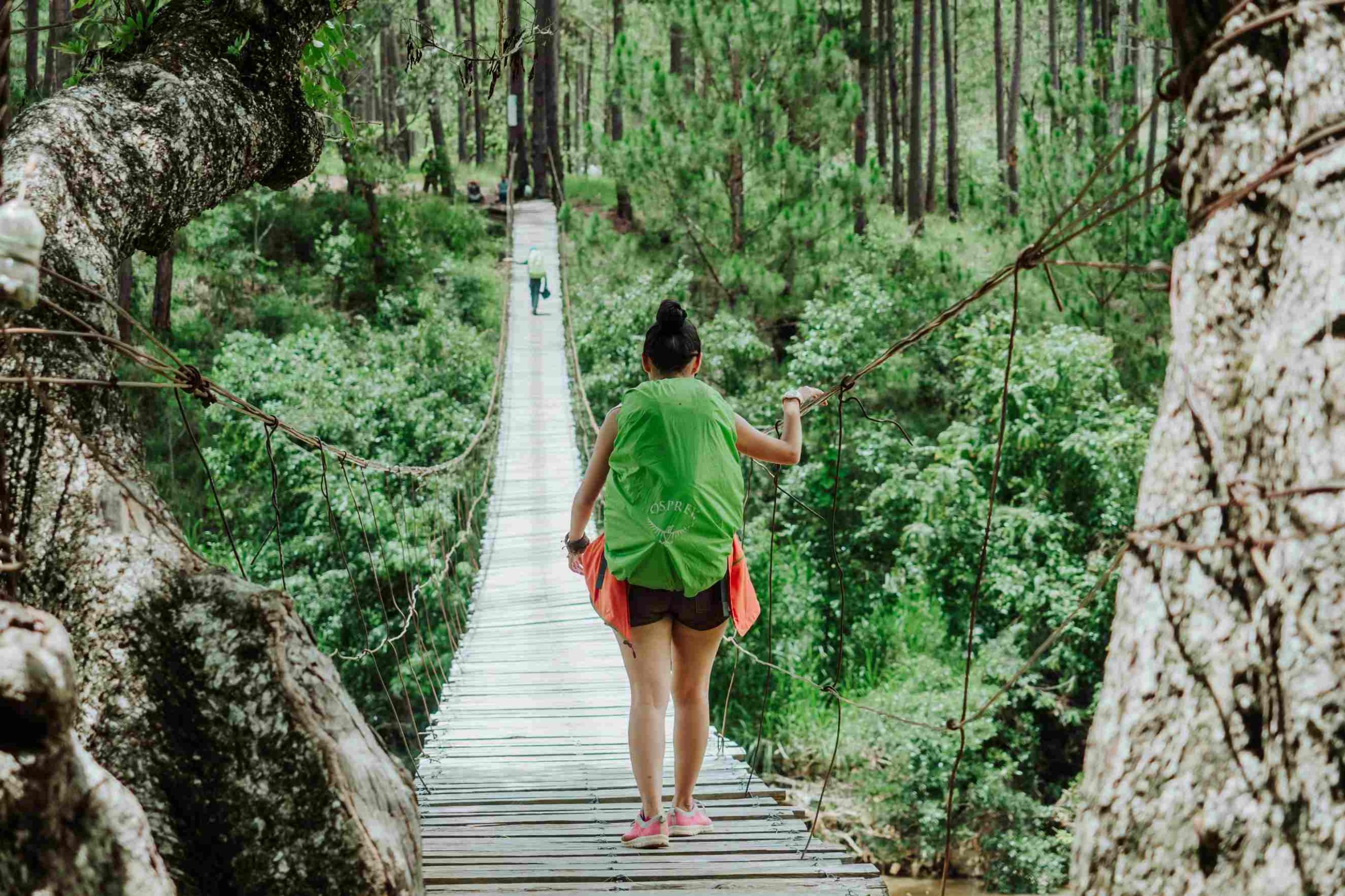 thanh tran qjN810m4NE8 unsplash 1 scaled