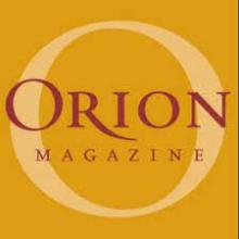 20220803 Orion Magazine