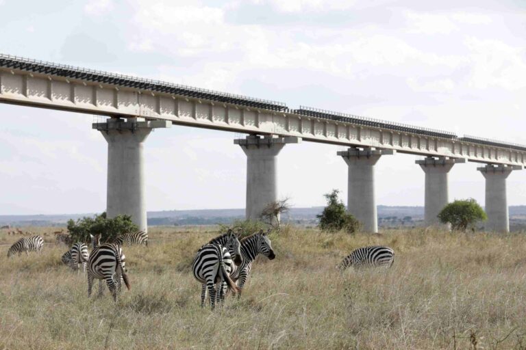 Nieuwe Zijderoute in Kenia en Oeganda brokkelt af