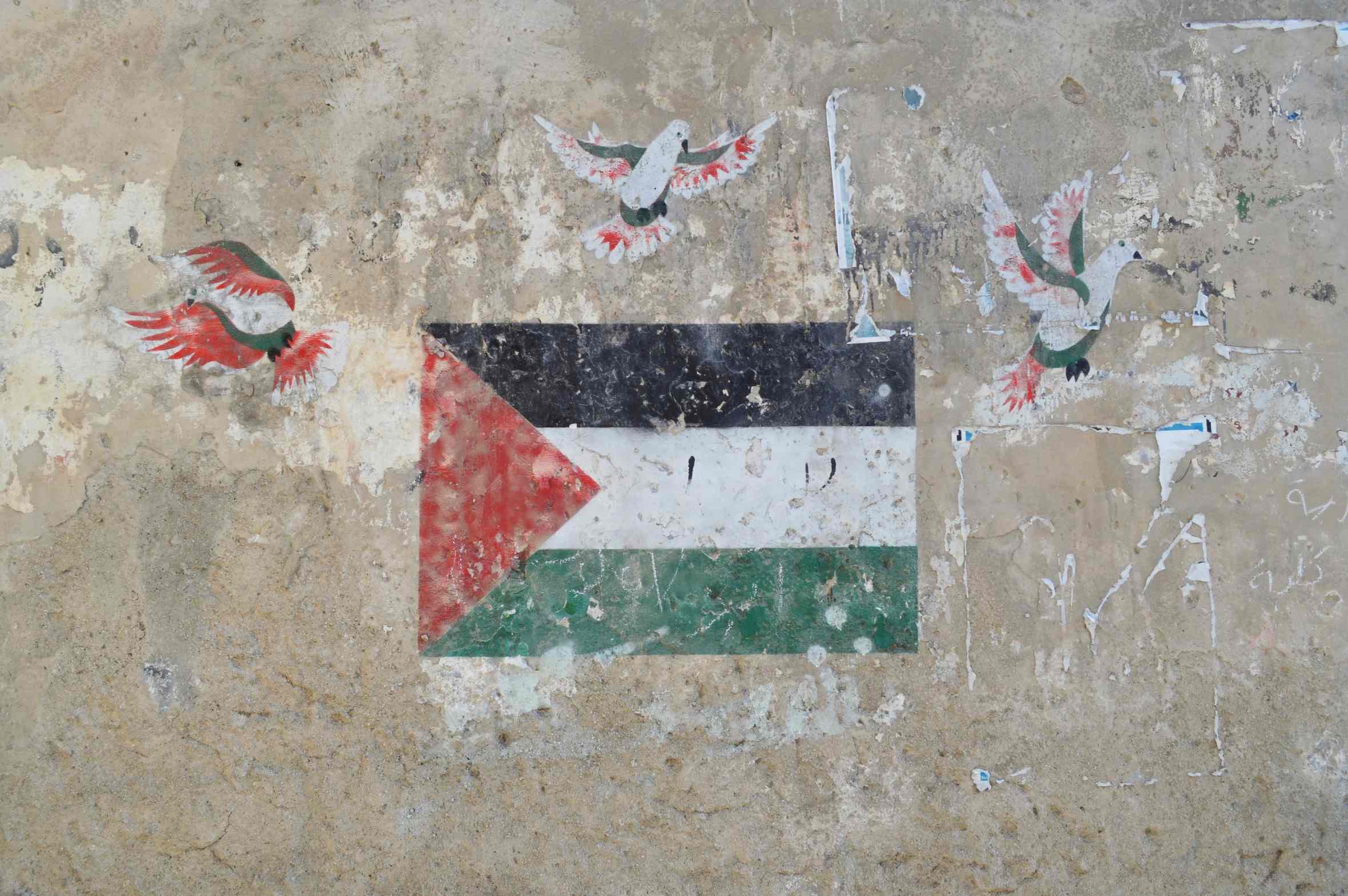 Activist Samer Sinijlawi: ‘Er is nog hoop voor Palestina’
