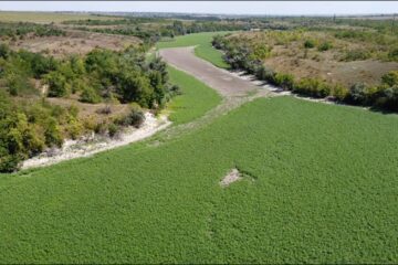 Een-afbeelding-van-het-unieke-bos-in-het-uitgedroogde-Kakhovka-reservoir-na-een-ecologische-ramp