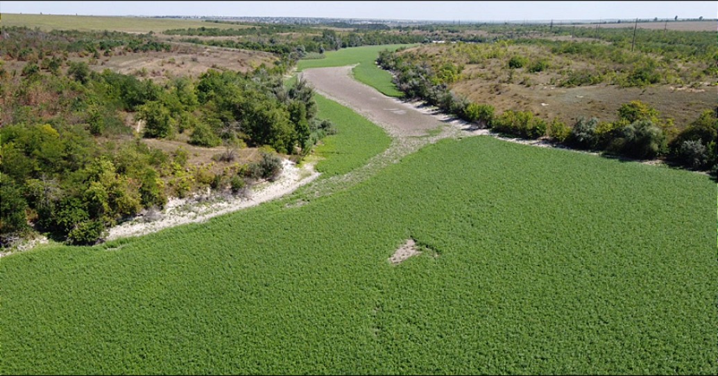 Hoe een ecologische ramp in Oekraïne uitgroeide tot een natuurwonder