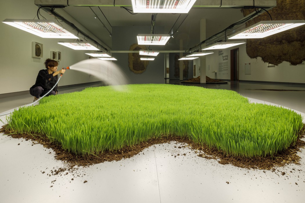 Diana Scherer weeft met plantenwortels