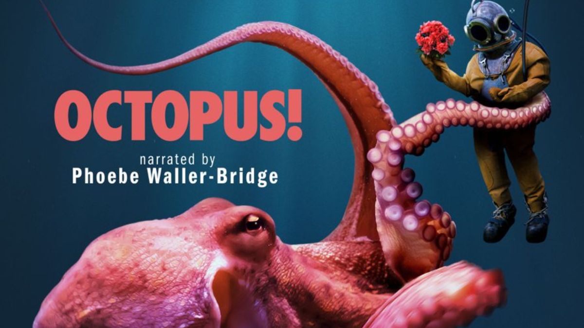 Phoebe Waller-Bridge’s Octopus is geen Fleabag 2.0