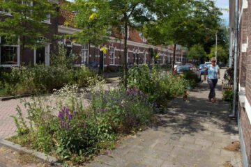 Tegelwippen: goed voor de grond, de buurt en de stad