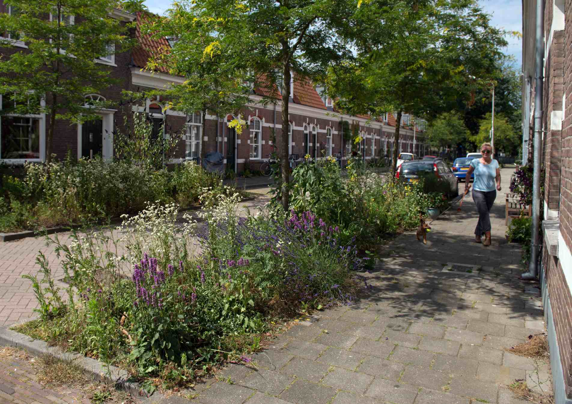Tegelwippen: goed voor de grond, de buurt en de stad Tegelwippen: goed voor de grond, de buurt en de stad