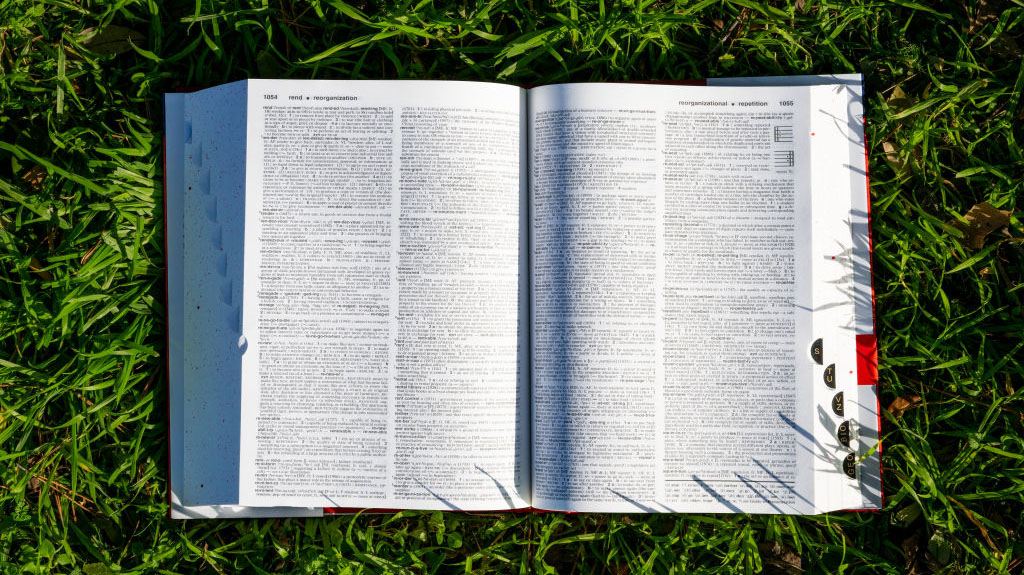 247 Dictionary1