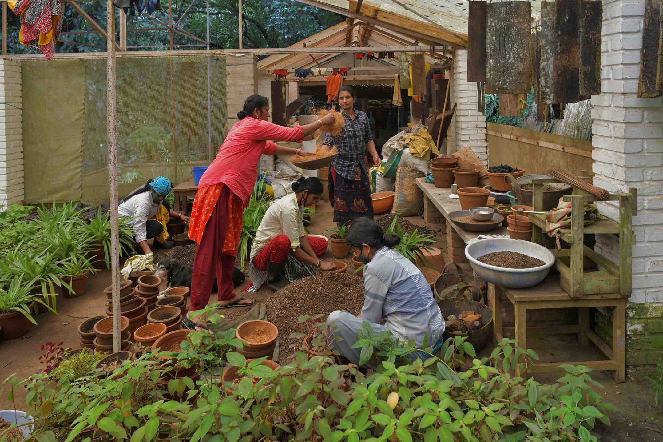 Deze vrouwen redden het regenwoud van Kerala