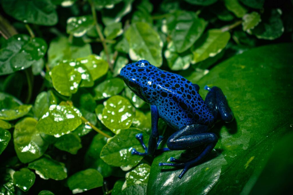 oleksandr kuzmin 6EnPgTElrMo unsplash 1