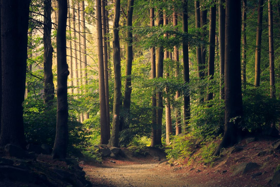Leven in harmonie met de natuur