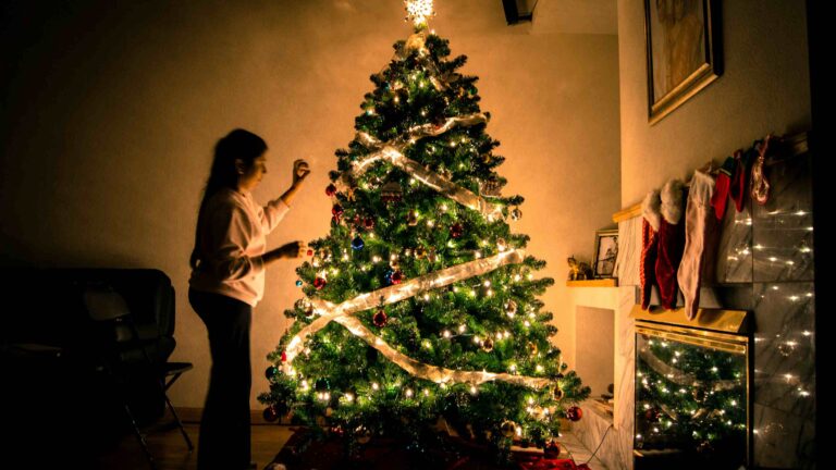 Hebben we nog een echte kerstboom nodig?