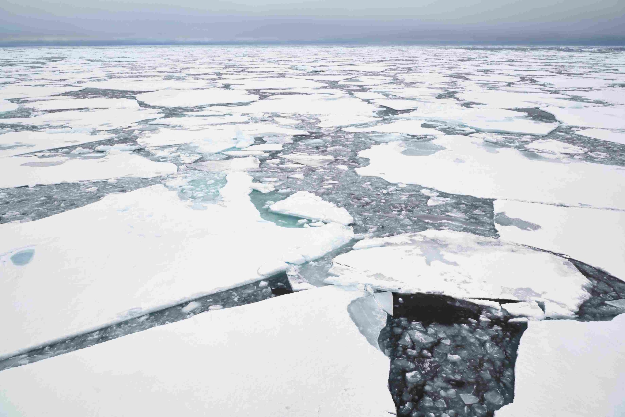 De Noordpool lijkt een ‘zeer winstgevend project’ voor Rusland