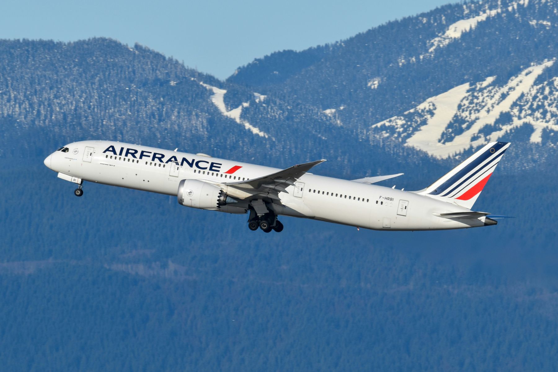 Air France en Airbus schuldig bevonden aan vliegtuigcrash in 2009