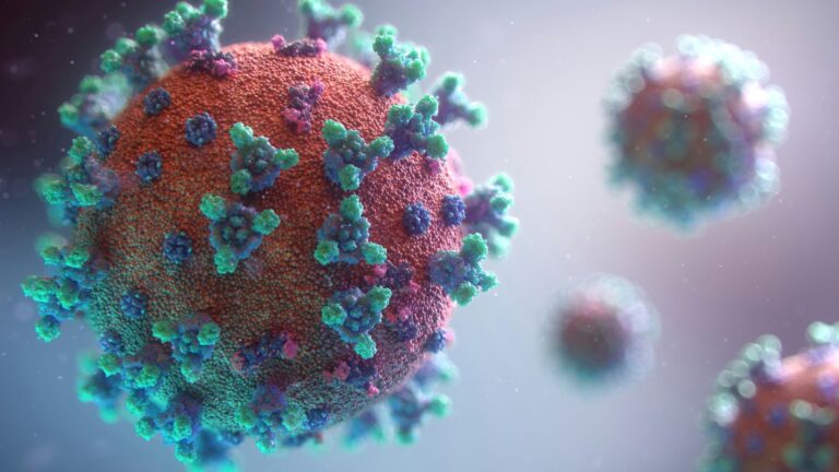 Hantavirus: symptomen ontdekt bij een Franse passagier van de MV Hondius