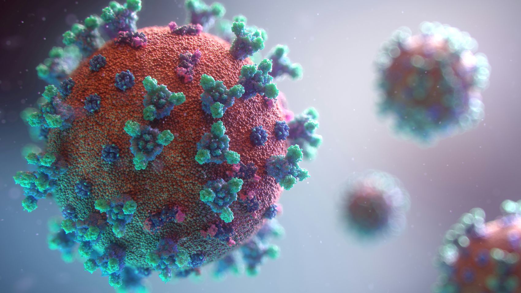 Hantavirus: symptomen ontdekt bij een Franse passagier van de MV Hondius