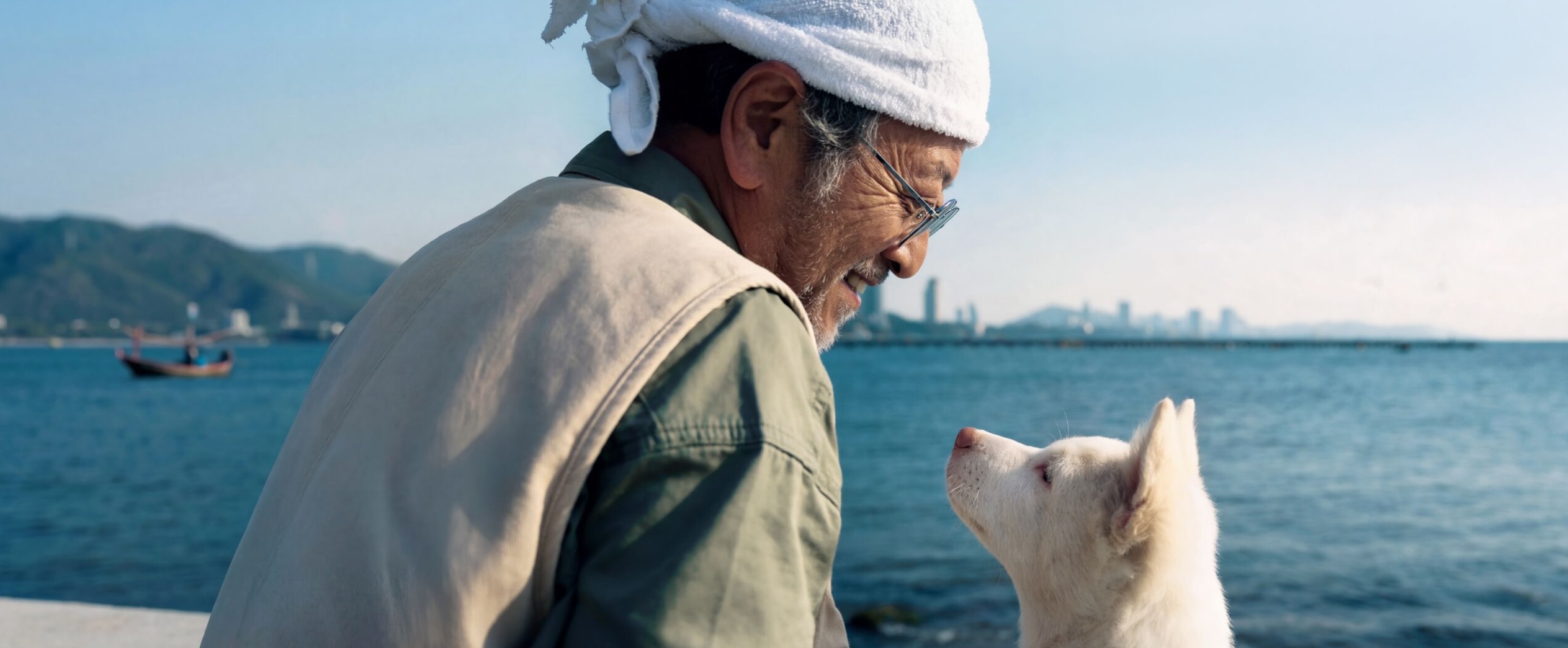 De lotgevallen van een veerkrachtige zwerfhond