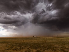 Regenrovers: hoe vier boeren een droogte veinsden en miljoenen buitmaakten