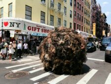 New York: enorme haarbal moet taboe op haaruitval doorbreken