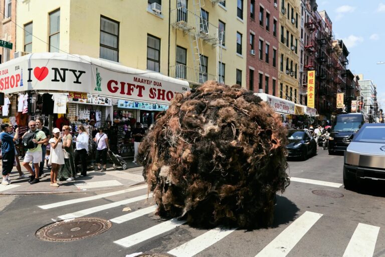 New York: enorme haarbal moet taboe op haaruitval doorbreken