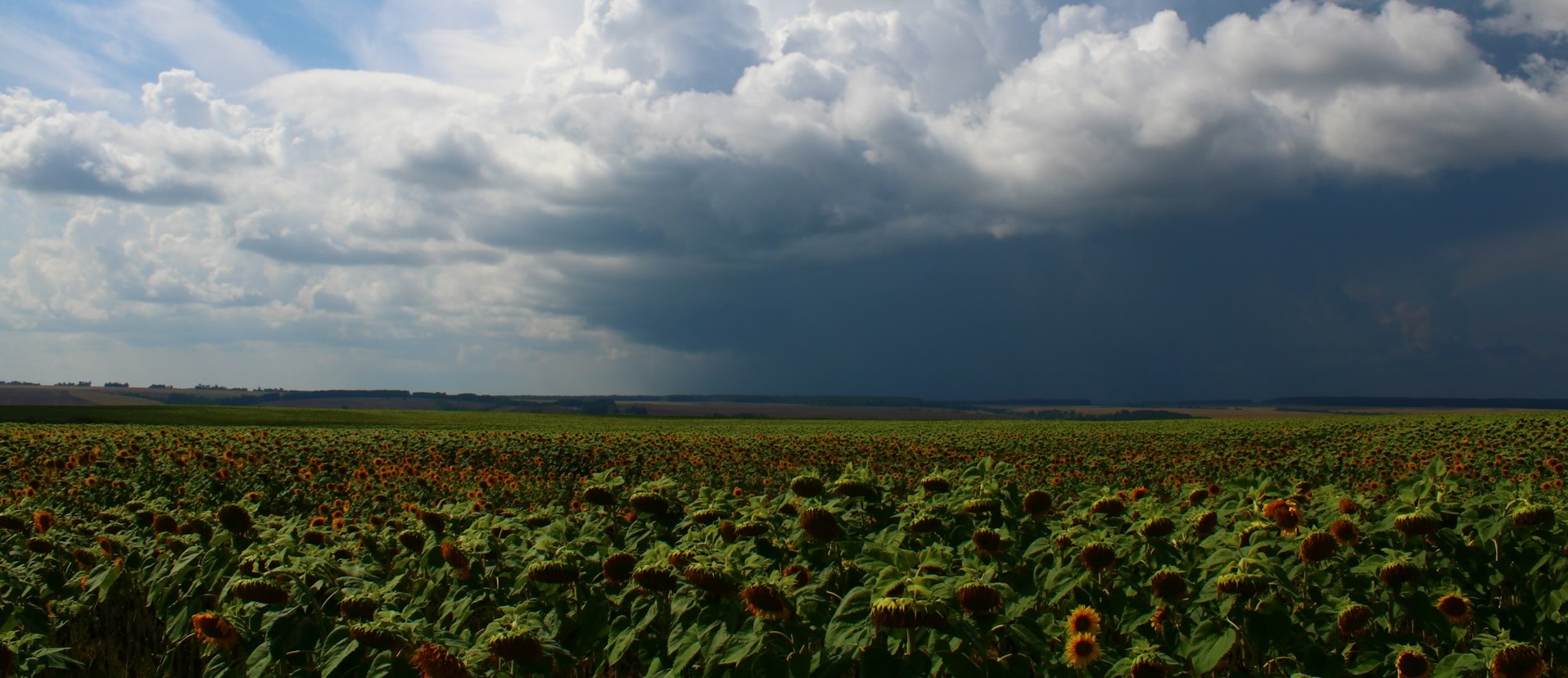 bulat akhtiamov M37BvaOHv7I unsplash