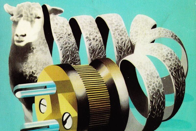 259 CUL Electric Sheep edited