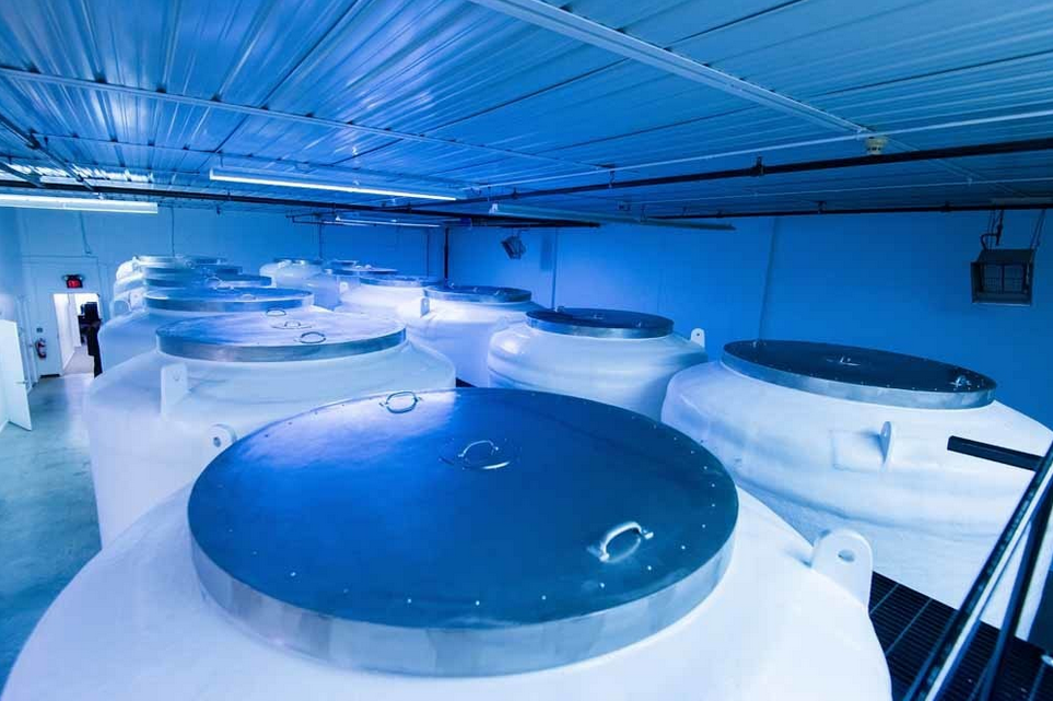 Cryonics Institute Michigan. – © Doug Coombe