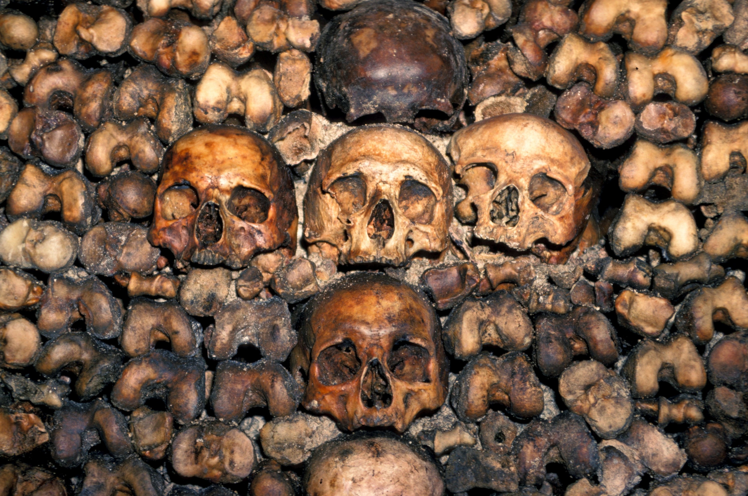 De schedelmuur in de catacombes van Parijs, een van de meest winstgevende attracties van de Franse hoofdstad. – © Education Images / UIG via Getty Images