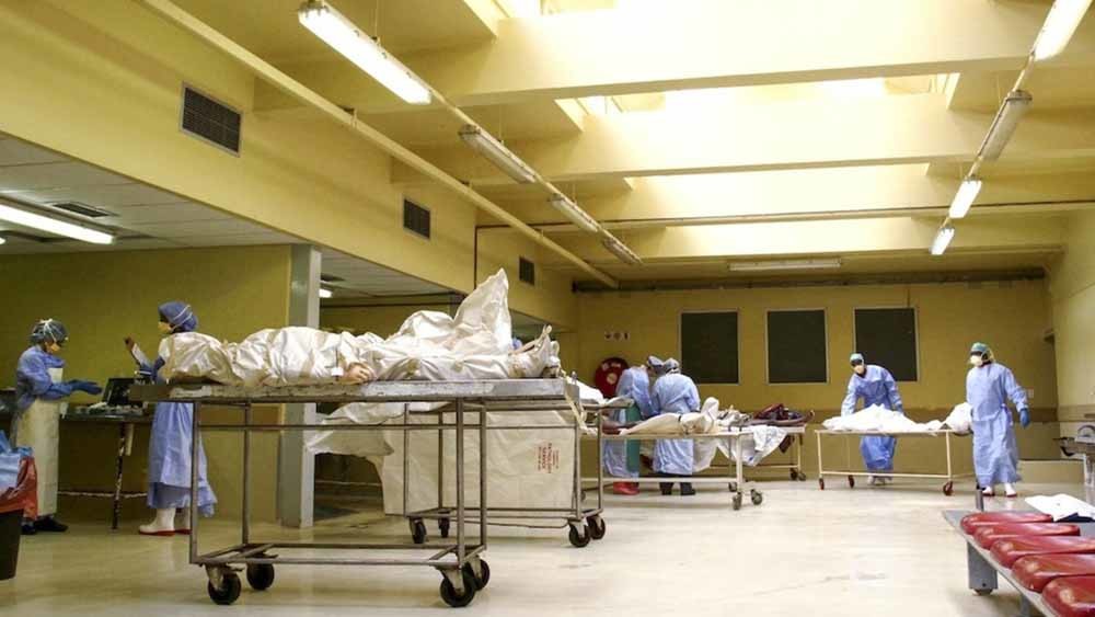 Zuid-Afrikaanse mortuaria kunnen het aantal lichamen nauwelijks aan. – © Kristen van Schie