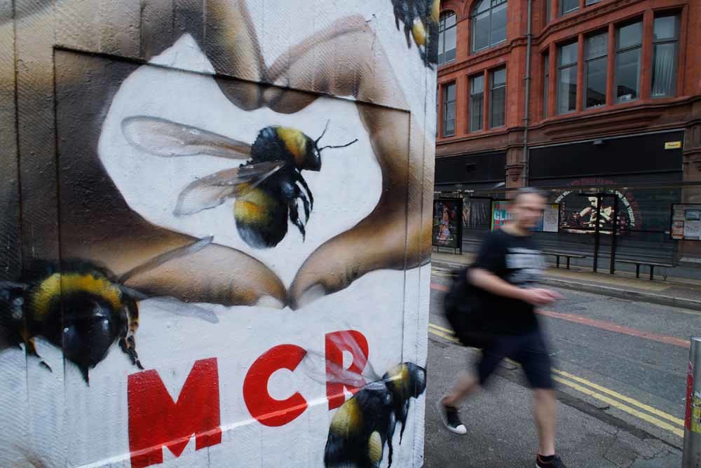 Na de aanslag werd de bij, een oud symbool van de stad, weer populair in Manchester. – © HH