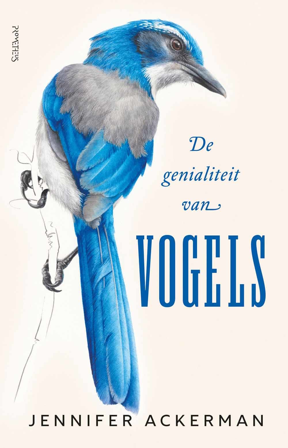 De genialiteit van vogels (vertaling: Hanneke Bos) verscheen onlangs bij Prometheus. 