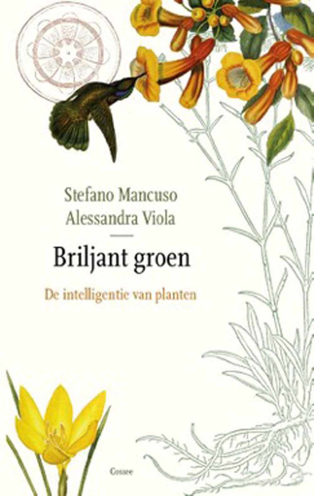 briljant groen