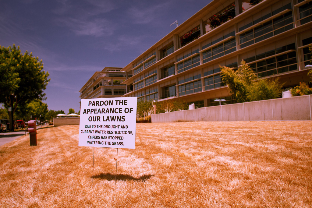 Verdroogd grasveld in Sacramento. – © Kevin Cortopassi