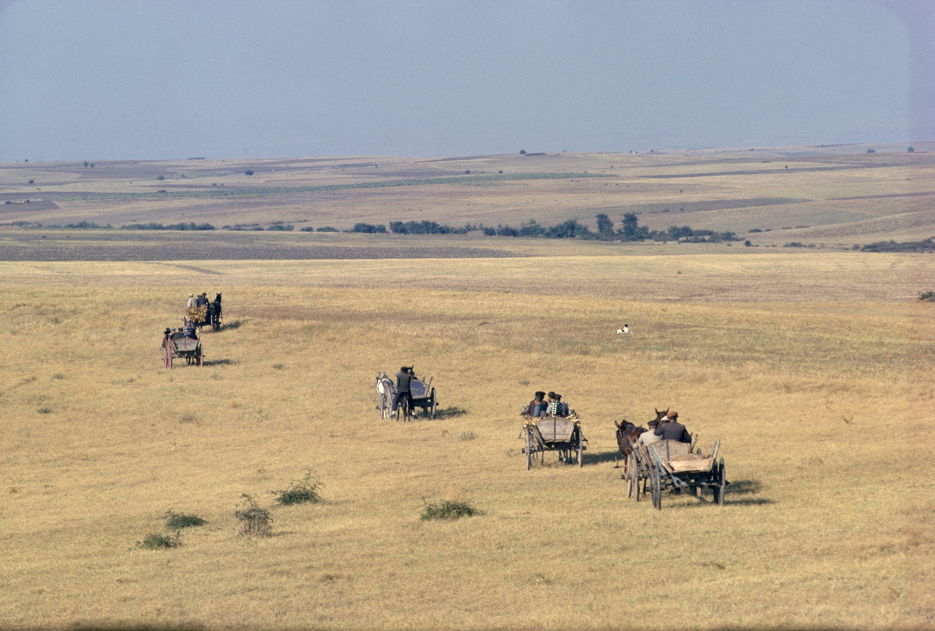 Een caravaan van paard-en-wagens trekt door de vlaktes van West-Turkije. – © James P. Blair / National Geographic / Getty Images