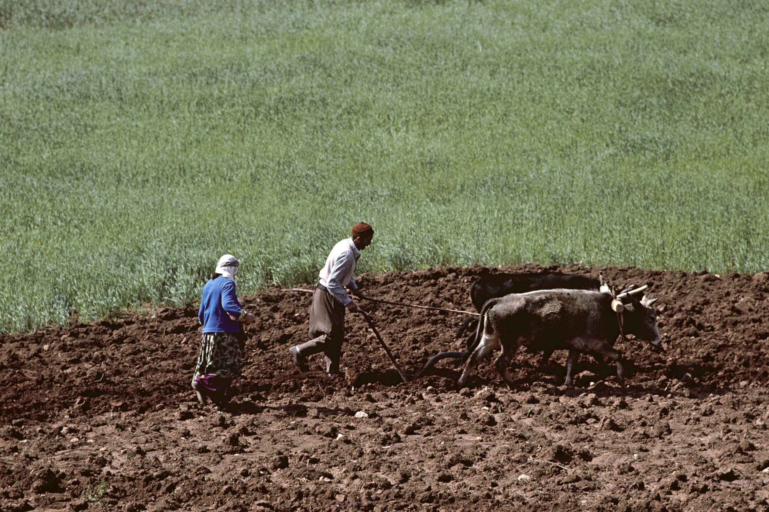 Het plattelandsleven in Anatolië. – © Gerard SIOEN / Gamma-Rapho via Getty Images